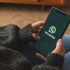 Whatsapp app in a woman hand - startupper
